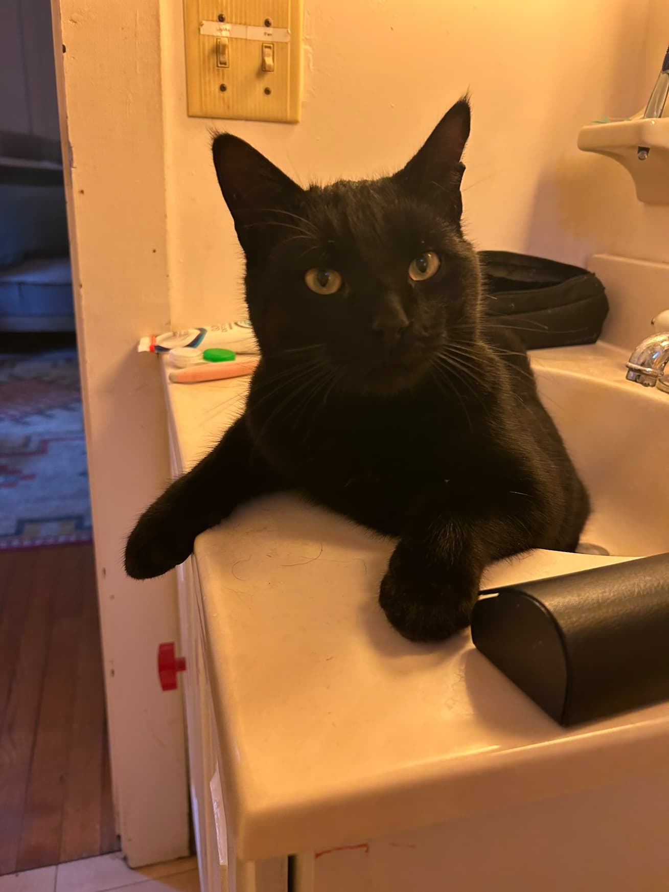 Cyrus